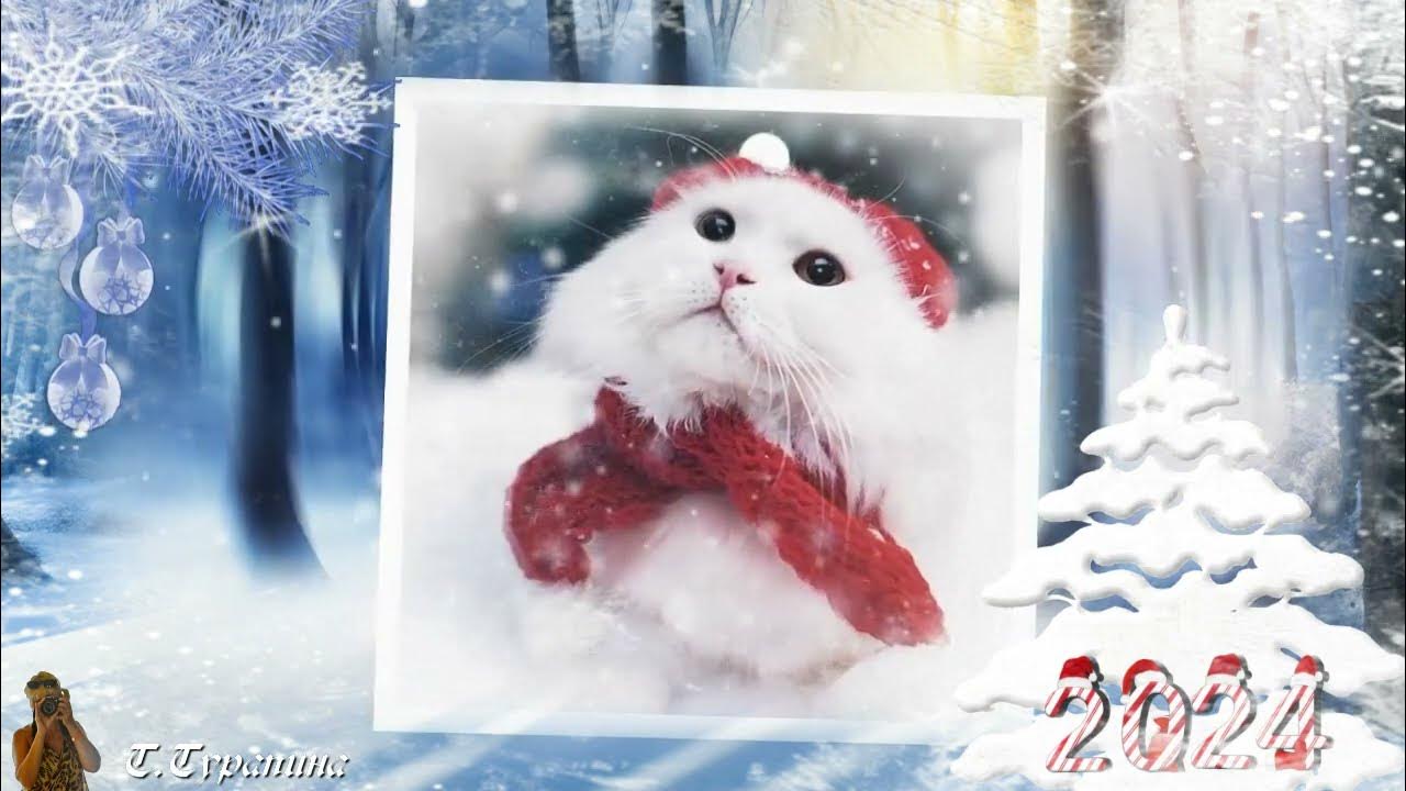 Если ты не боишься котов, к високосному году - ГОТОВ! - YouTube