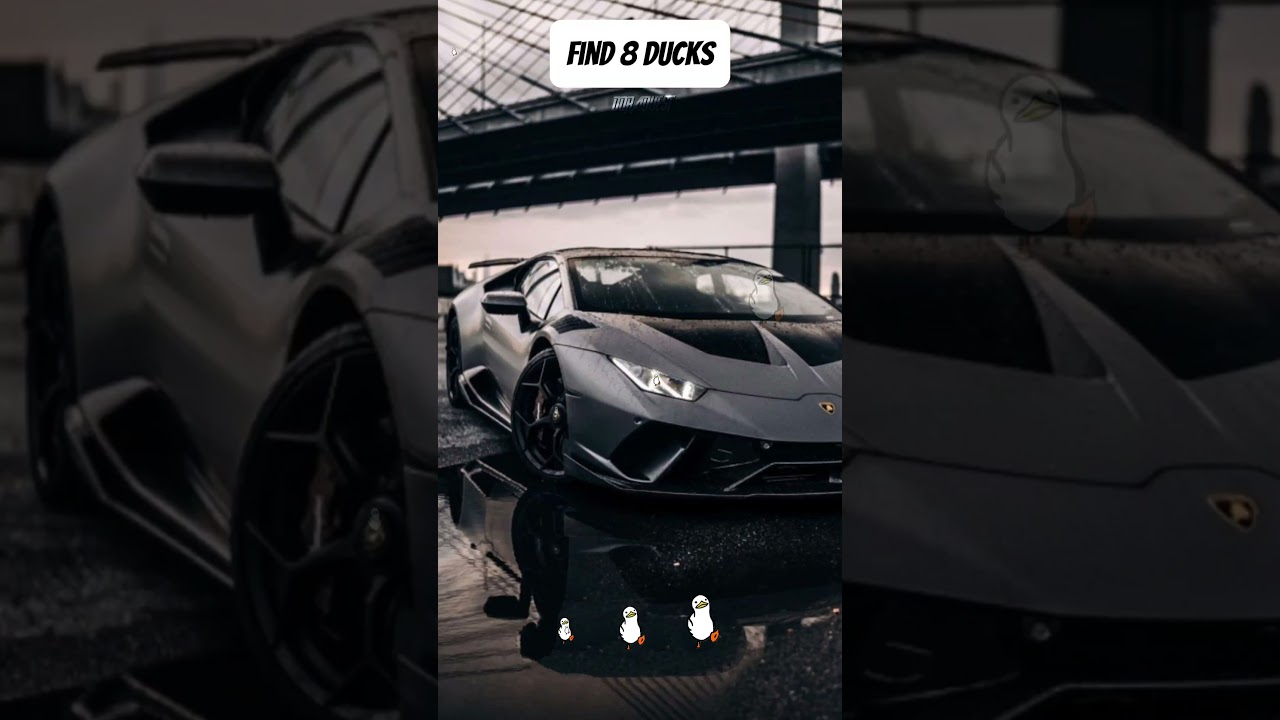 find hidden ducks🦆?