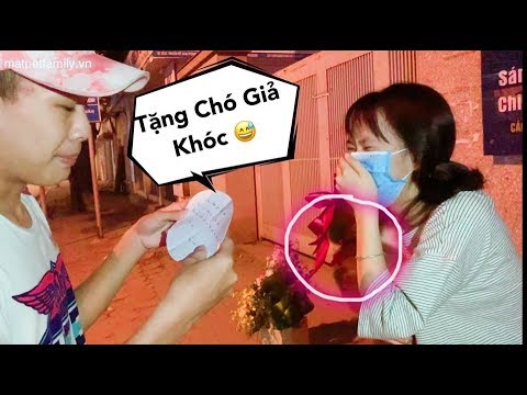 puppy paradise NGƯỜI YÊU Ở XA BẤT NGỜ ĐẶT CHÓ TẶNG LÀM CÔ GÁI KHÓC NẤC VÌ HẠNH PHÚC - Mật Pet Family