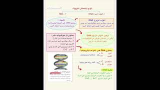 كيمياء ٢-٣ - فصل المركبات العضوية الحيوية - الأحماض النووية