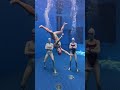 Try Not To Laugh Challenge Artisticswimming 