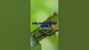 AI-Driven Psychology: Assessing the Promises and Pitfalls of Psychological Profiling