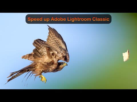 Speed up Adobe Lightroom Classic!