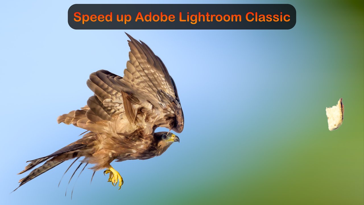 Speed up Adobe Lightroom Classic!