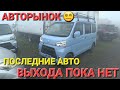 АВТОРЫНОК, ПОСЛЕДНИЙ ПРИВОЗ БЫЛ, ВЛАДИВОСТОК ЗЕЛЁНЫЙ УГОЛ, ЦЕНЫ ВИДЕО 2023