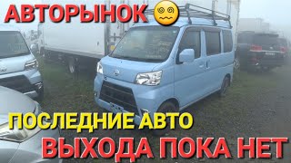 АВТОРЫНОК, ПОСЛЕДНИЙ ПРИВОЗ БЫЛ, ВЛАДИВОСТОК ЗЕЛЁНЫЙ УГОЛ, ЦЕНЫ ВИДЕО 2023