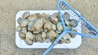 BACK BAY CLAMMING IN NJ CATCH & COOK!!