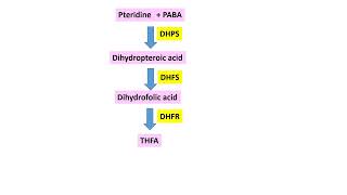 SULFADOXINE PYRIMETHAMINE COMBINATION IN MALARIA