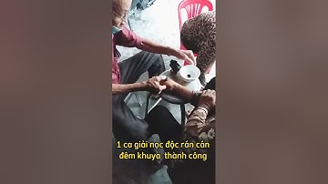 Chữa rắn cắn đêm khuya thành công