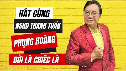 BẢN PHỤNG HOÀNG || ĐỜI LÀ CHIẾC LÁ || TG - NỮ VÕ SƯ HỒ HOA HUỆ