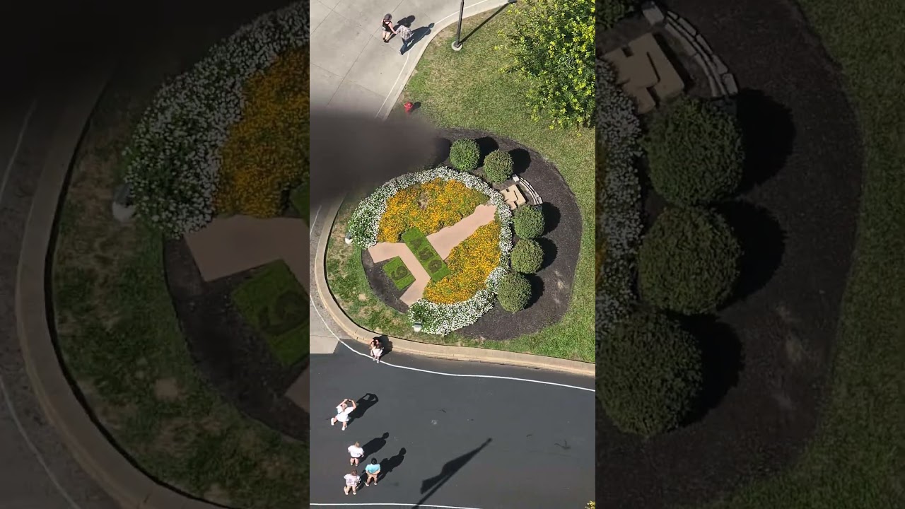 Fun Fact Friday Episode 29! January 23rd, 2026!