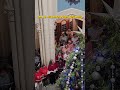 Christmas Carols at University of Auckland | Festive Music and Campus Vibes