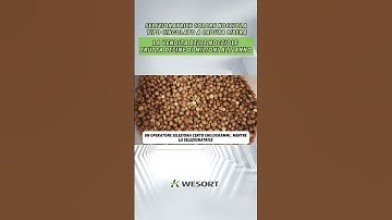 🌰 Say goodbye to bad hazelnuts!