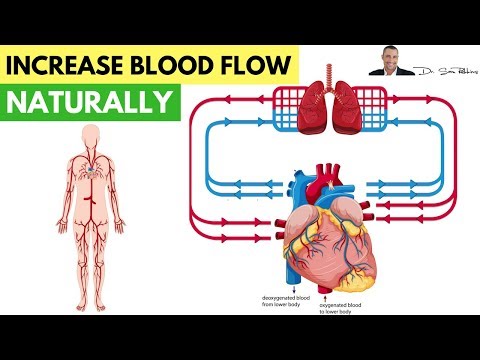 ❤️-how-to-increase-blood-flow-&-circulation-naturally---by-dr-sam-robbins