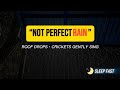 Real Rain on Roof with Crickets | Fall Asleep Fast #blackscreenrain