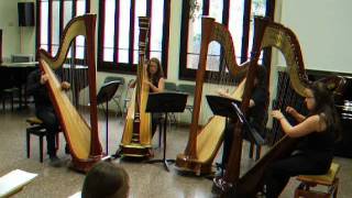 DSCF2480.AVI
