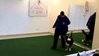 Lucky Dip Tunier Langenwang - Limbo Dance