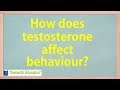 Testosterone and Aggression - IB Psychology - How a hormone affects behaviour