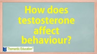 Testosterone and Aggression - IB Psychology - How a hormone affects behaviour