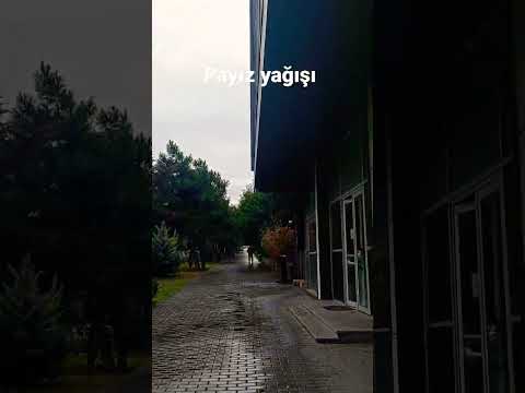 Yağmur. Payız yağışı #shorts