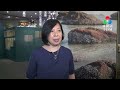 【澳門與蠔的深厚淵源】蠔緣生態展 展示海洋歷史文化故事