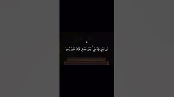 قرآن سورة ابراهيم القارئ محمد ايوب #قرآن #اكسبلور #المصحف #قران_كريم #لايك #الرحمن #محمد_ايوب