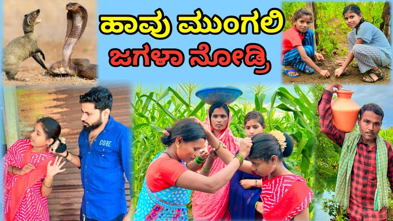 ಹಾವು ಮುಂಗಲಿ ಜಗಳಾ ನೋಡ್ರಿ | ಲಲಿತಾ ಭಂಡಾರಿ | ಕಾಮಿಡಿ ವಿಡಿಯೋ 