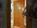 💡 Door Open Tools| आसान, तेज़ और भरोसेमंद!🔥#short #viralshort #trendingshorts #doors