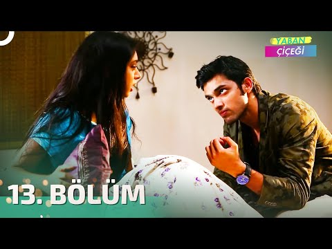 Yaban Çiçeği Hint Dizisi 13. Bölüm | Kaisi Yeh Yaariaan | Türkçe Dublaj