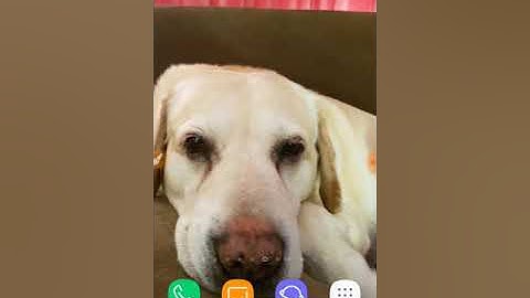 Hack Client (COMMANDS) || Tutorial: 5 (FIX)