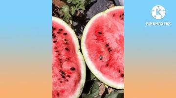 Oddly Satisfying Video With Original Sound #03 | Original Relaxing Videos for Deep Sleep