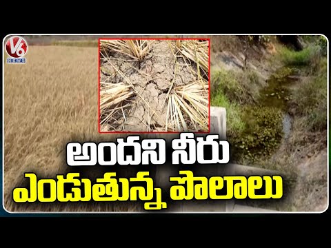 Water Shortage For Agriculture In Jangaon district | V6 News - V6NEWSTELUGU