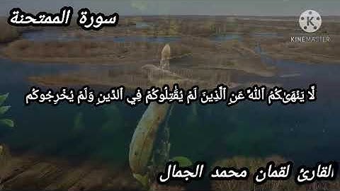 سورة الممتحنة كاملة للقارئ لقمان محمد الجمال
