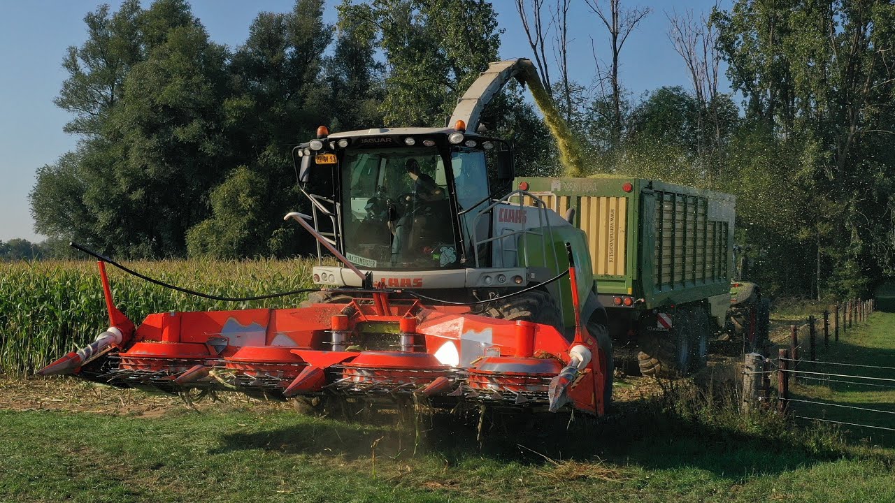 Mais Hakselen 2020 door Loonbedrijf Van Hal uit Voorst
