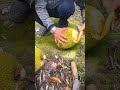 easy way to split jackfruit with precise cuts #shorts