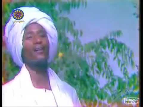 الدكتور محمد ود بادي مسدار جزيرة عبدلة