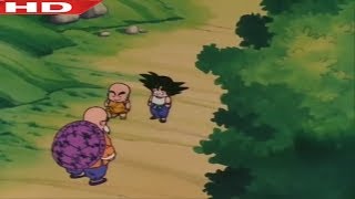 Goku and krillin Race dragon ball 16 The master's speed