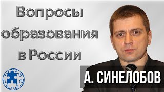 Куда двигается Российское образование? | Алексей Синелобов