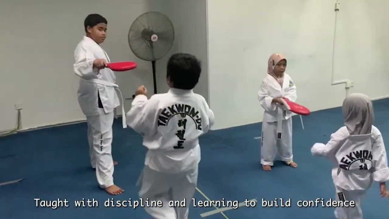 The Story | Synergy Taekwon-Do Club (STC) -  Chapter 1