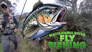 Discover the Serene Beauty of Fly Fishing in Waitahanui River, Taupo District