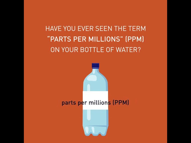 What is the taste of water?