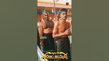 #ayyappa #swami #sabarimala #padipuja #irumudi #maalai #swamiyesaranamayyappa #om #shorts #status