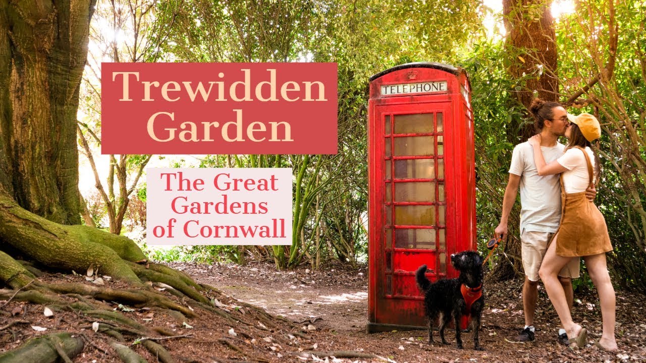 Exploring Trewidden Gardens | Great Gardens of Cornwall