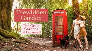 Exploring Trewidden Gardens | Great Gardens of Cornwall