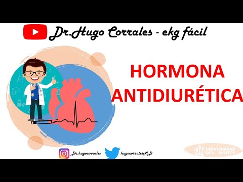Video: ¿Dónde se sintetiza la hormona antidiurética y dónde actúa?