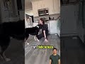Perrito entrenado ayuda a su dueña #lifehacks #ideas #usa