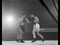 1955 RING MAGAZINE FIGHT OF THE YEAR   Carmen Basilio vs Tony DeMarco II