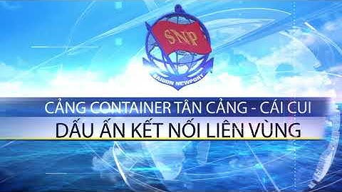 Giới thiệu cảng Tân Cảng Cái Cui