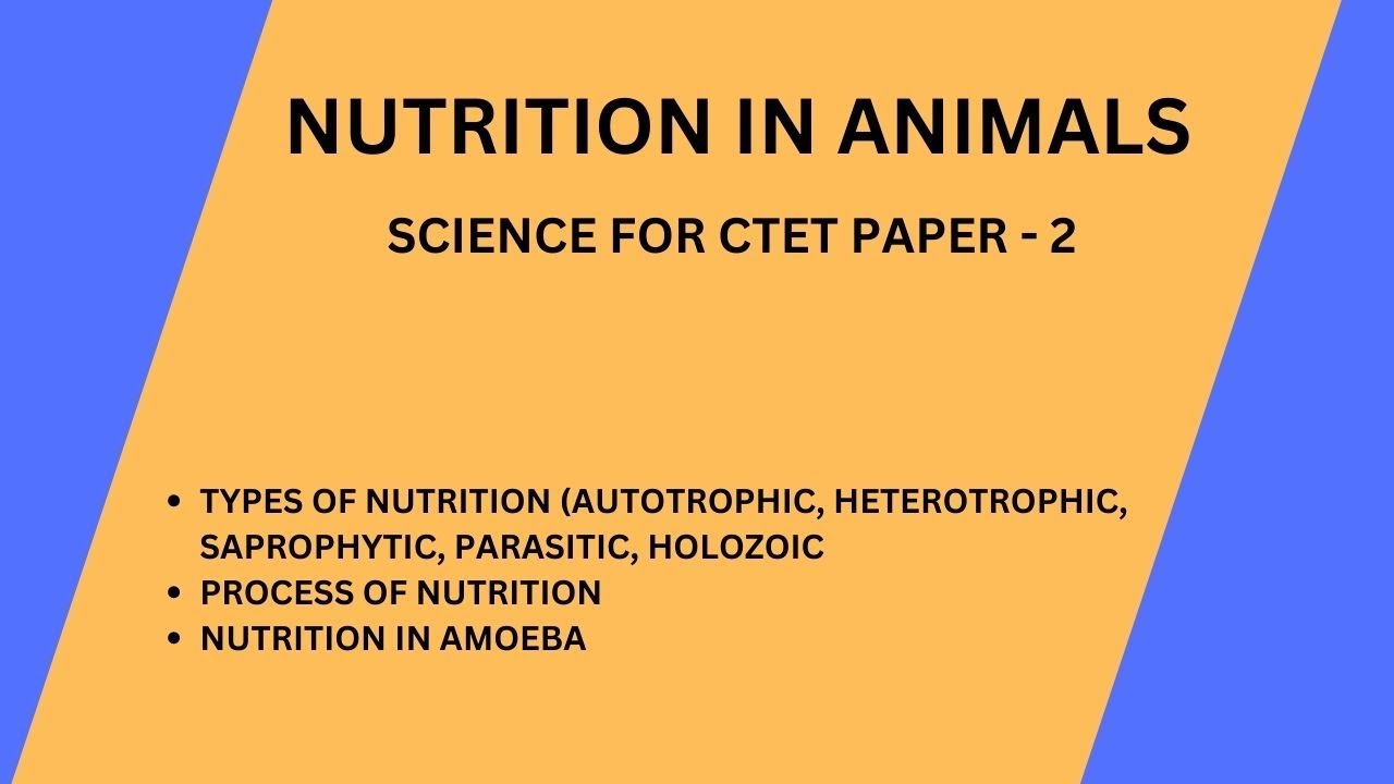 NUTRITION IN ANIMALS | TYPES | PROCESS OF NUTRITION | CTET SCIENCE PAPER 2  - YouTube