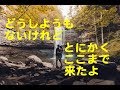 僕がどんなに君を好きか、君は知らない カラオケ カバー 歌詞 採点付